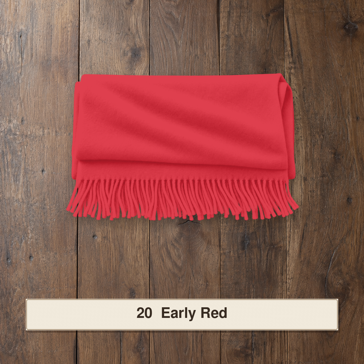 Pashmina Scarf & Wraps - RT903