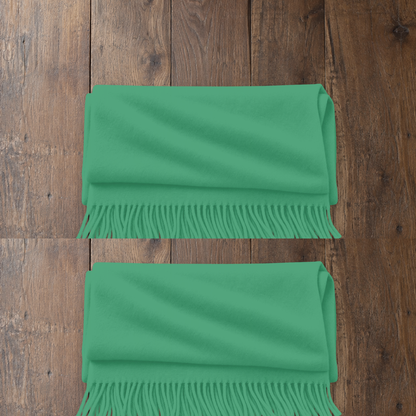 Pashmina Scarf & Wraps - RT903