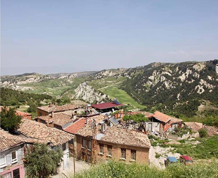 Turkey