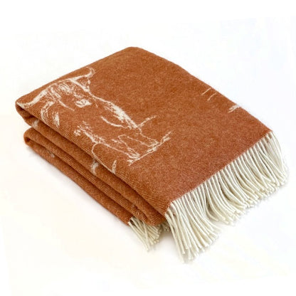 Folded brown blanket with white fringe on a white background